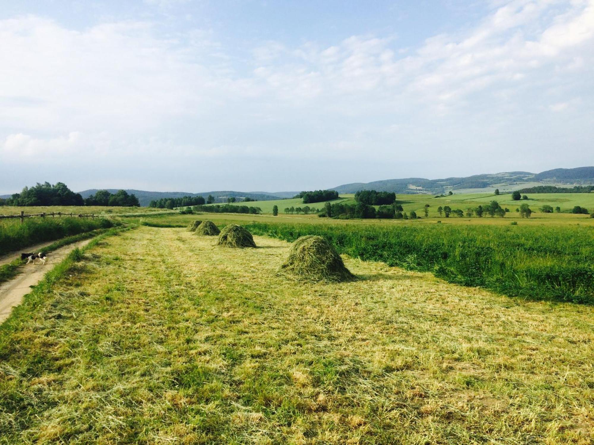 Siedlisko Wierchy Wiesciszowice Экстерьер фото